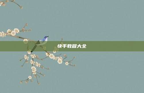 快手教程大全
