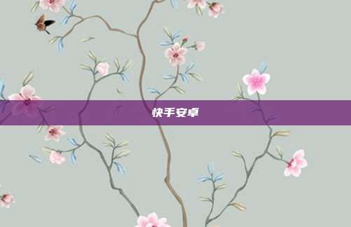 快手安卓