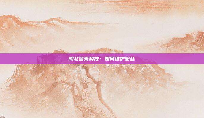 湖北馨泰科技:如何维护粉丝