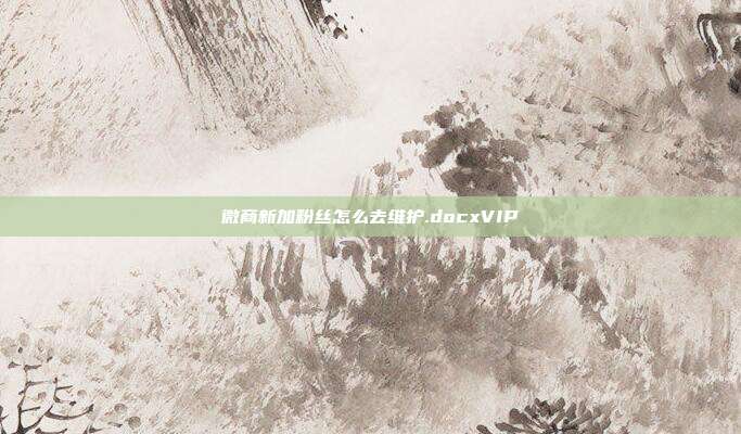 微商新加粉丝怎么去维护.docxVIP