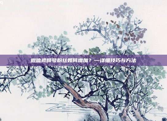 微信视频号粉丝如何增加?—详细技巧与方法