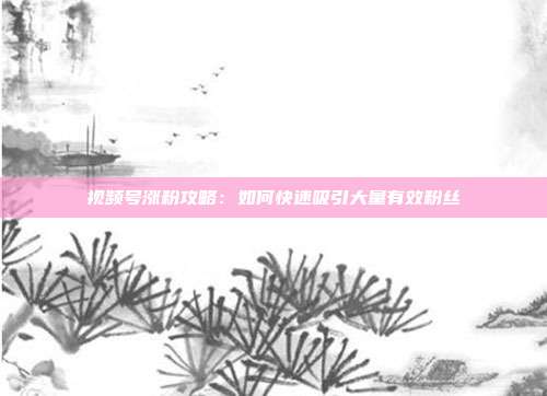 视频号涨粉攻略:如何快速吸引大量有效粉丝