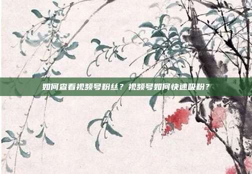 如何查看视频号粉丝?视频号如何快速吸粉?