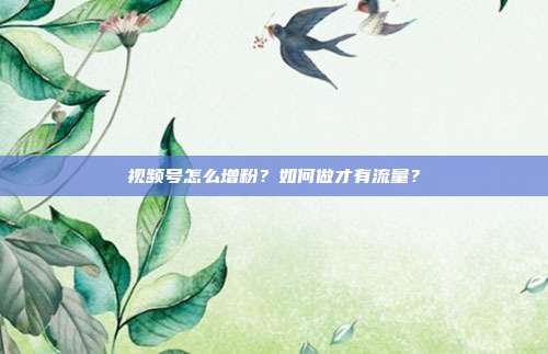 视频号怎么增粉?如何做才有流量?