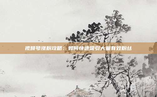 视频号涨粉攻略:如何快速吸引大量有效粉丝