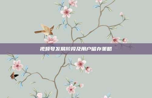 视频号发展阶段及用户留存策略