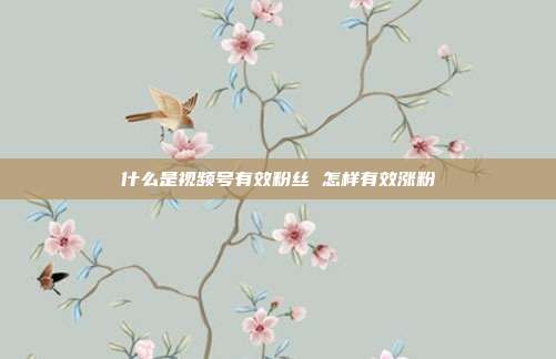 什么是视频号有效粉丝 怎样有效涨粉