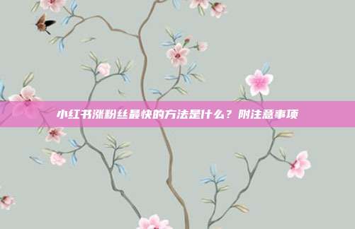 小红书涨粉丝最快的方法是什么？附注意事项