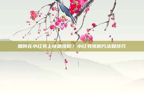 如何在小红书上快速涨粉?小红书涨粉方法和技巧