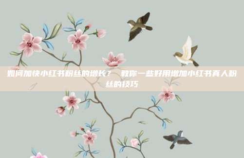 如何加快小红书粉丝的增长? 教你一些好用增加小红书真人粉丝的技巧