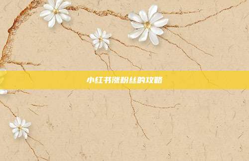 小红书涨粉丝的攻略