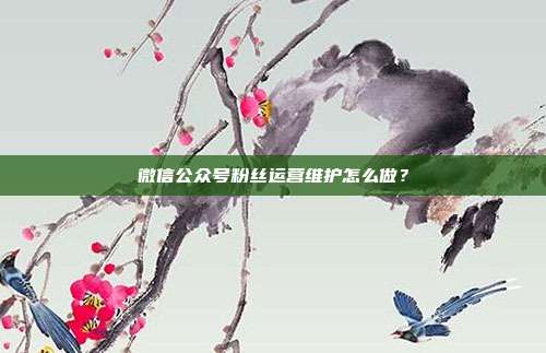 微信公众号粉丝运营维护怎么做?