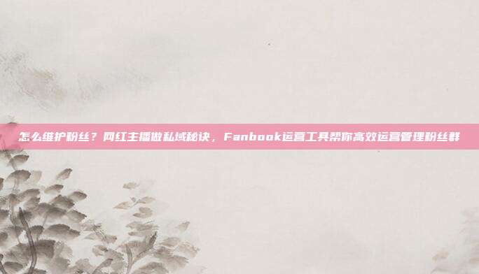 怎么维护粉丝?网红主播做私域秘诀,Fanbook运营工具帮你高效运营管理粉丝群