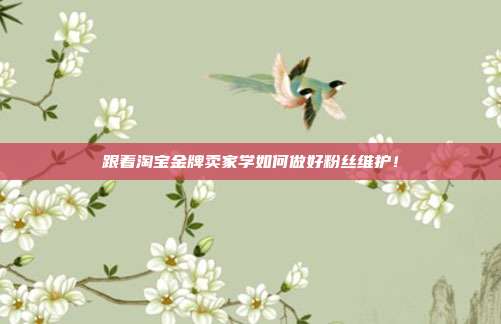 跟着淘宝金牌卖家学如何做好粉丝维护！