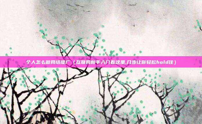 个人怎么做网络推广(互联网新手入门看这里,几步让你轻松hold住)
