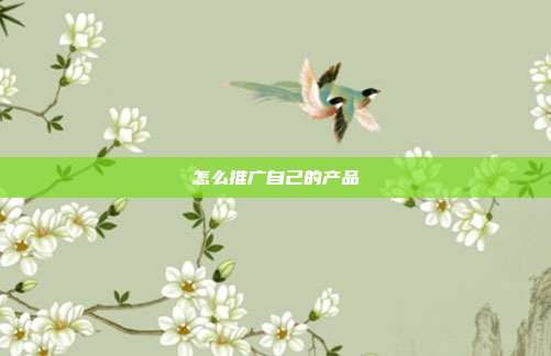 怎么推广自己的产品