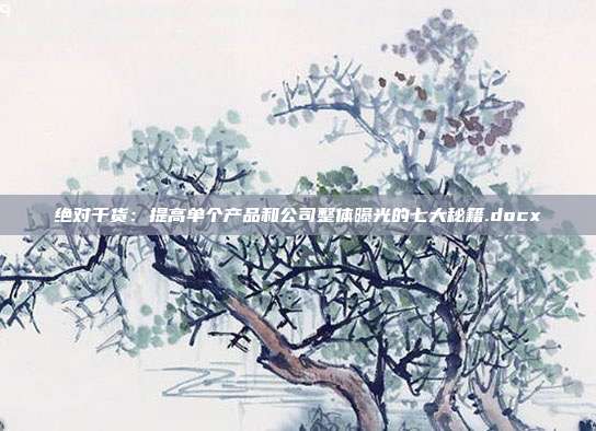 绝对干货：提高单个产品和公司整体曝光的七大秘籍.docx