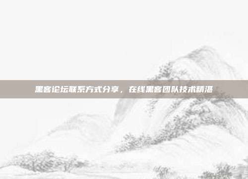 黑客论坛联系方式分享,在线黑客团队技术精湛