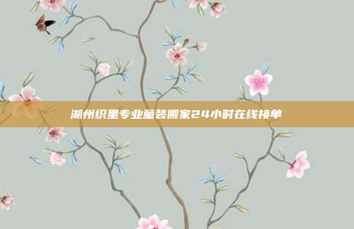 湖州织里专业童装搬家24小时在线接单