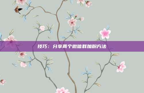 技巧：分享两个微信群加粉方法