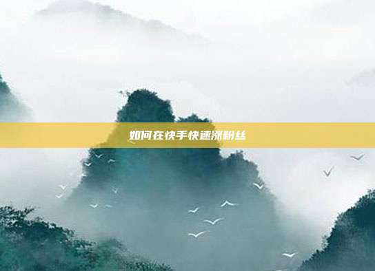 如何在快手快速涨粉丝