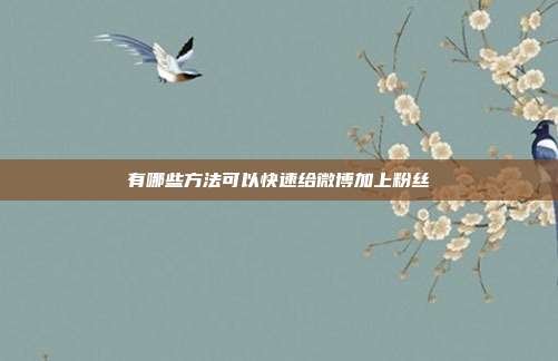 有哪些方法可以快速给微博加上粉丝
