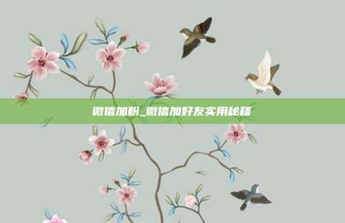 微信加粉_微信加好友实用秘籍