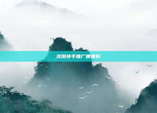 沈阳快手推广哪里好