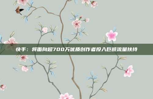 快手:将面向超700万优质创作者投入巨额流量扶持