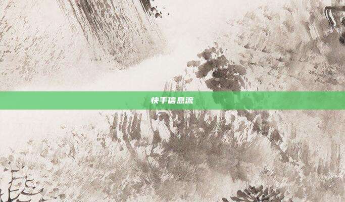 快手信息流