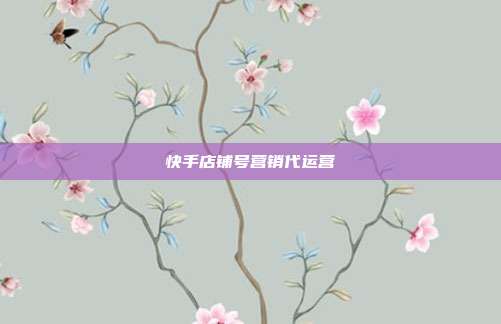 快手店铺号营销代运营
