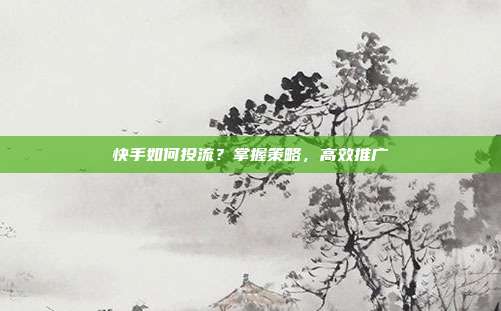 快手如何投流?掌握策略,高效推广