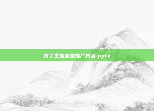 快手主播流量推广方案.pptx