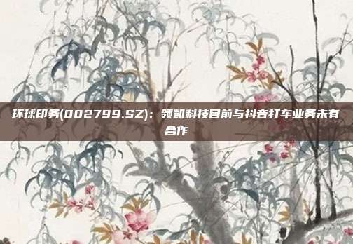 环球印务(002799.SZ):领凯科技目前与抖音打车业务未有合作