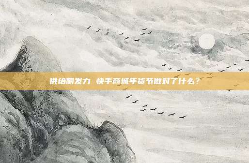 供给侧发力 快手商城年货节做对了什么?