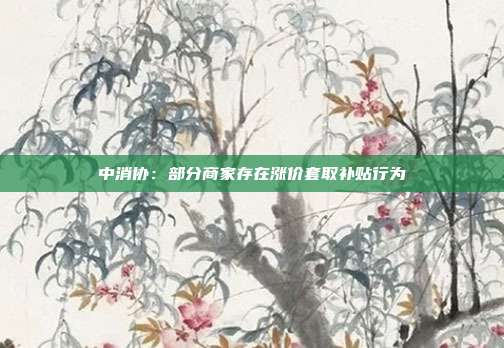 中消协:部分商家存在涨价套取补贴行为