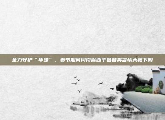 全力守护“年味”,春节期间河南省西平县各类警情大幅下降