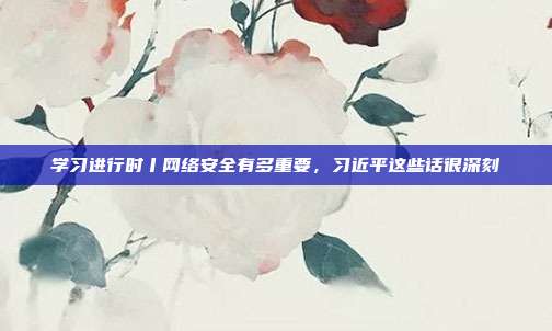 学习进行时丨网络安全有多重要,习近平这些话很深刻