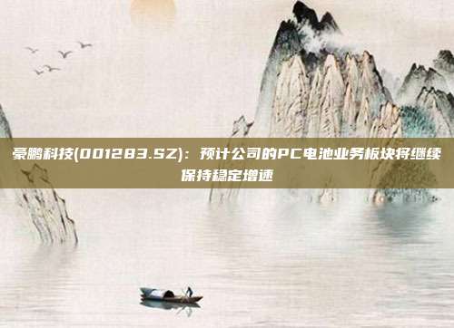 豪鹏科技(001283.SZ)：预计公司的PC电池业务板块将继续保持稳定增速
