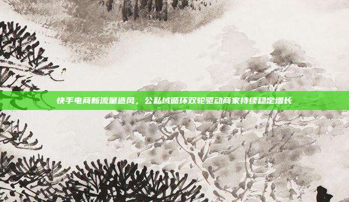 快手电商新流量造风,公私域循环双轮驱动商家持续稳定增长