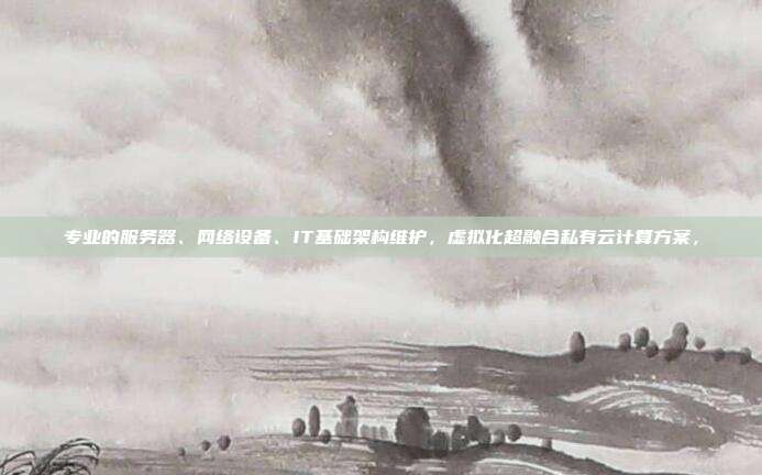 专业的服务器、网络设备、IT基础架构维护,虚拟化超融合私有云计算方案,