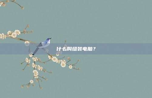 什么叫组装电脑？