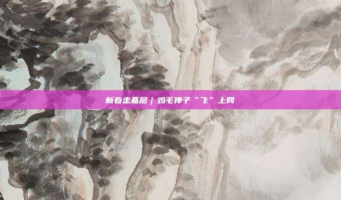 新春走基层｜鸡毛掸子“飞”上网