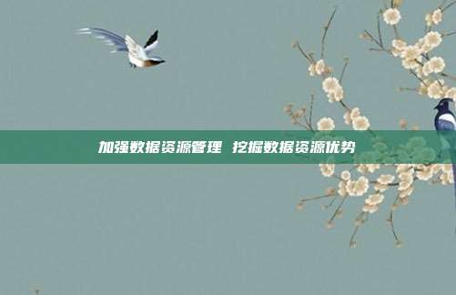 加强数据资源管理 挖掘数据资源优势