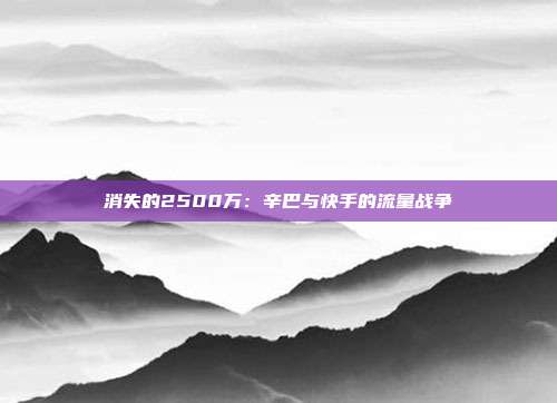 消失的2500万:辛巴与快手的流量战争