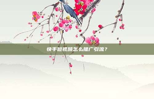 快手短视频怎么推广引流?