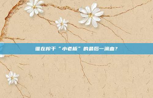 谁在榨干“小老板”的最后一滴血?