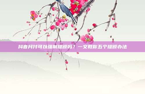 抖音月付可以强制提额吗?一文教你五个提额办法