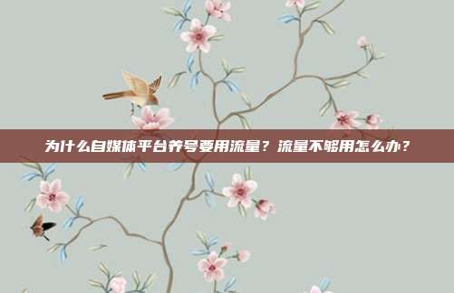 为什么自媒体平台养号要用流量?流量不够用怎么办?