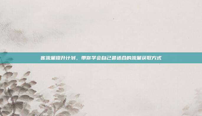 客流量提升计划,带你学会自己最适合的流量获取方式